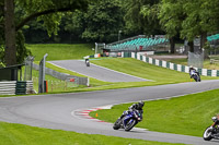 cadwell-no-limits-trackday;cadwell-park;cadwell-park-photographs;cadwell-trackday-photographs;enduro-digital-images;event-digital-images;eventdigitalimages;no-limits-trackdays;peter-wileman-photography;racing-digital-images;trackday-digital-images;trackday-photos